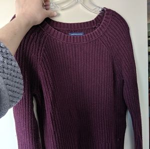 Plum american eagle sweater